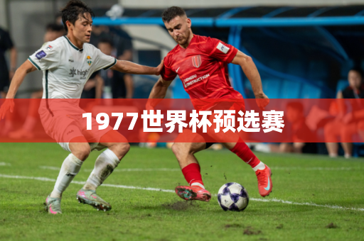 1977世界杯预选赛