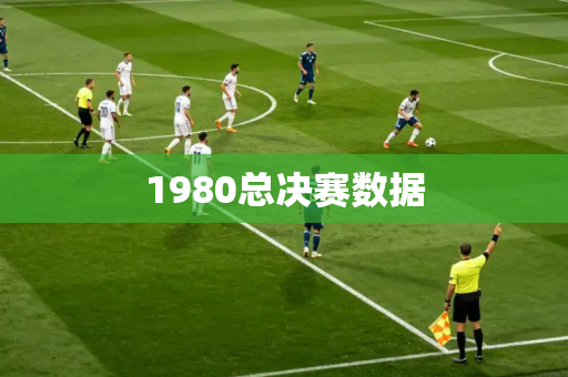 1980总决赛数据