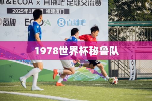 1978世界杯秘鲁队 1978世界杯秘鲁队