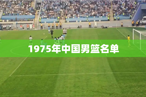 1975年中国男篮名单