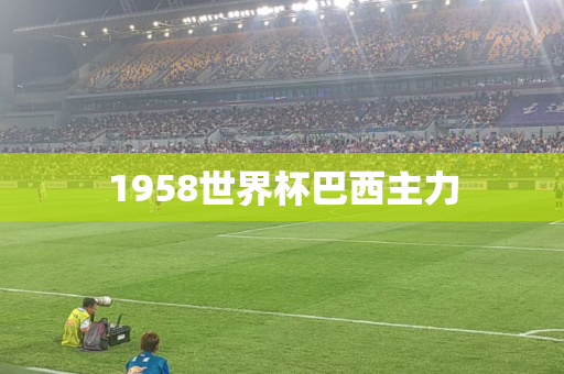1958世界杯巴西主力 1958世界杯巴西主力