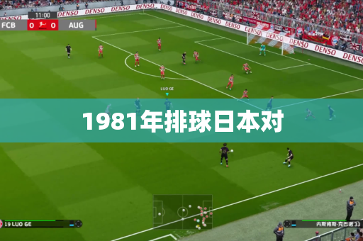 1981年排球日本对
