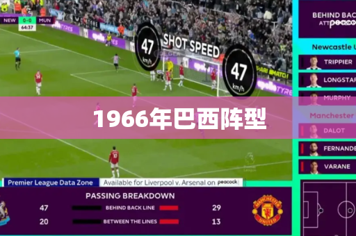 1966年巴西阵型 1966年巴西阵型