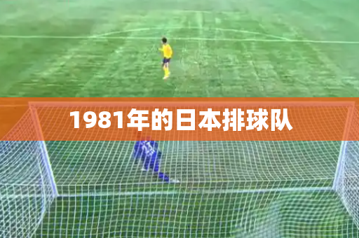 1981年的日本排球队