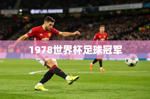 1978世界杯足球冠军 1978世界杯足球冠军