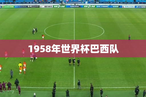 1958年世界杯巴西队