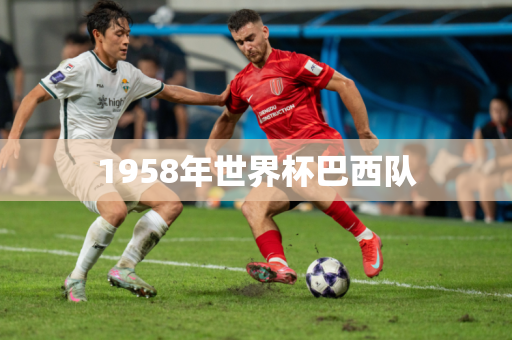 1958年世界杯巴西队