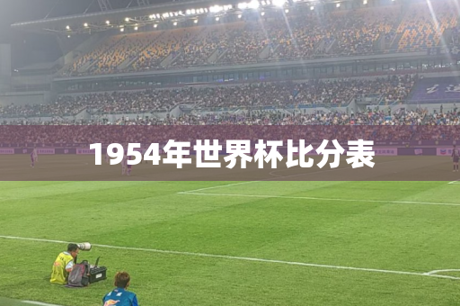 1954年世界杯比分表