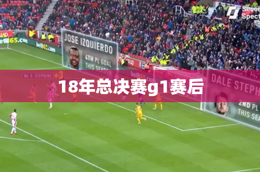 18年总决赛g1赛后