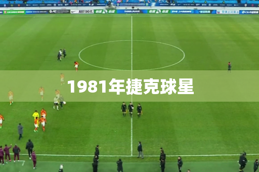 1981年捷克球星 1981年捷克球星