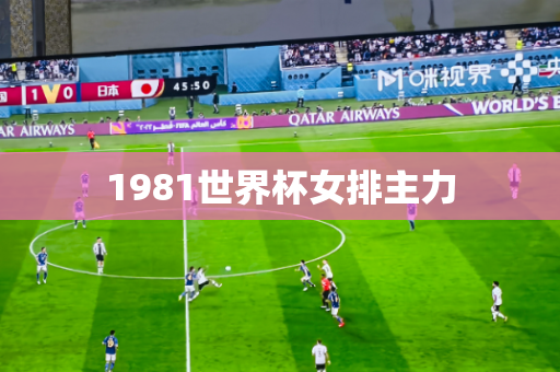 1981世界杯女排主力 1981世界杯女排主力