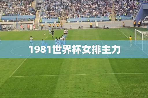 1981世界杯女排主力