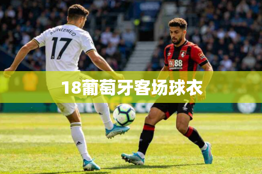 18葡萄牙客场球衣