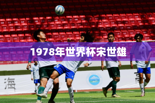 1978年世界杯宋世雄 1978年世界杯宋世雄