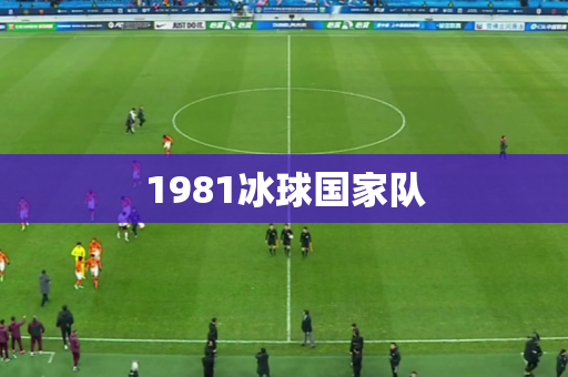1981冰球国家队