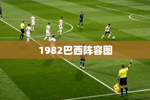 1982巴西阵容图 1982巴西阵容图