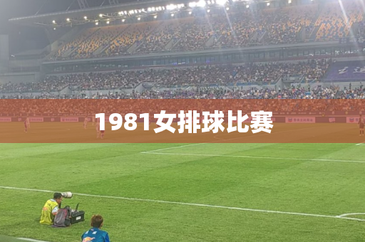 1981女排球比赛