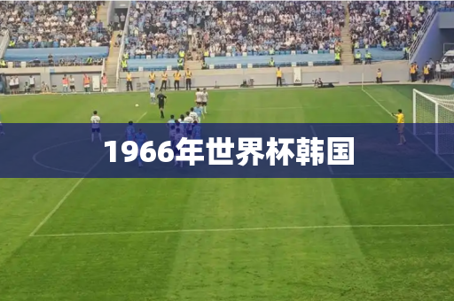 1966年世界杯韩国
