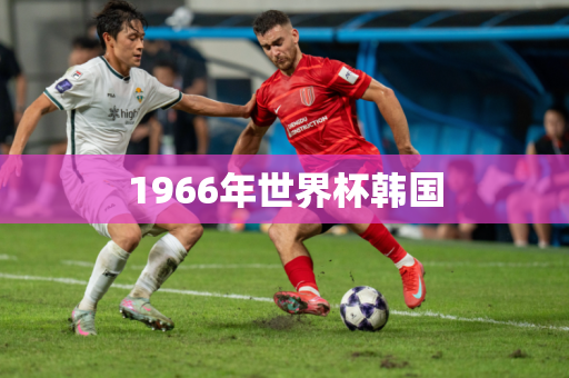 1966年世界杯韩国