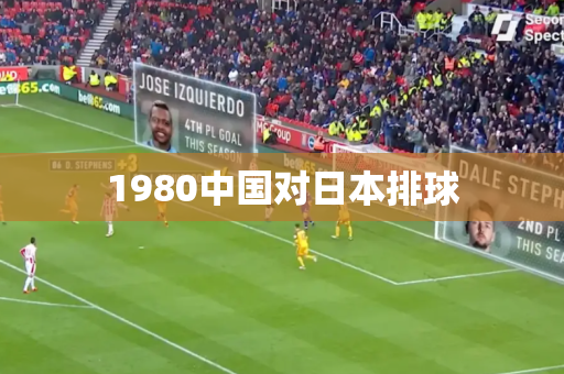 1980中国对日本排球 1980中国对日本排球