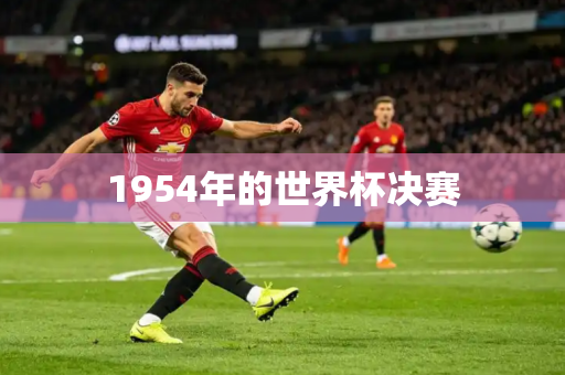 1954年的世界杯决赛 1954年的世界杯决赛