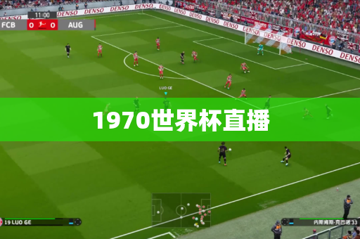 1970世界杯直播