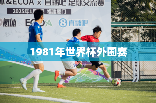 1981年世界杯外围赛 1981年世界杯外围赛