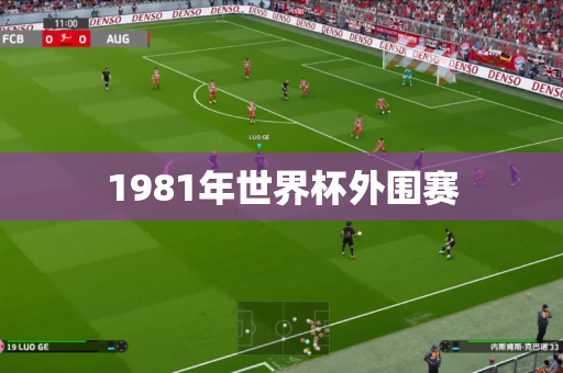 1981年世界杯外围赛