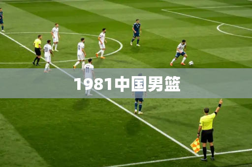 1981中国男篮 1981中国男篮