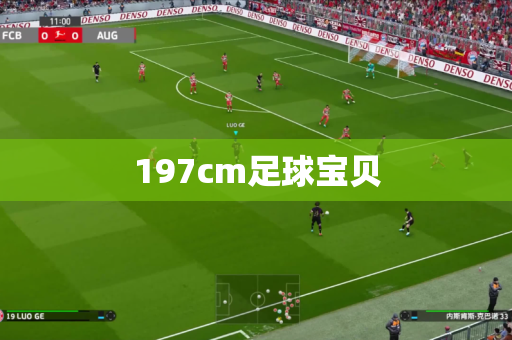 197cm足球宝贝