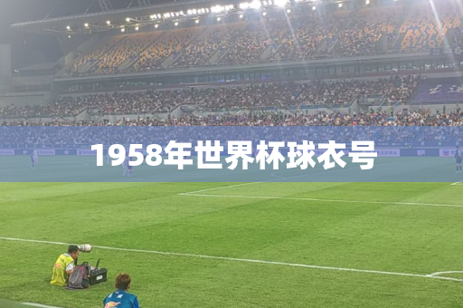1958年世界杯球衣号