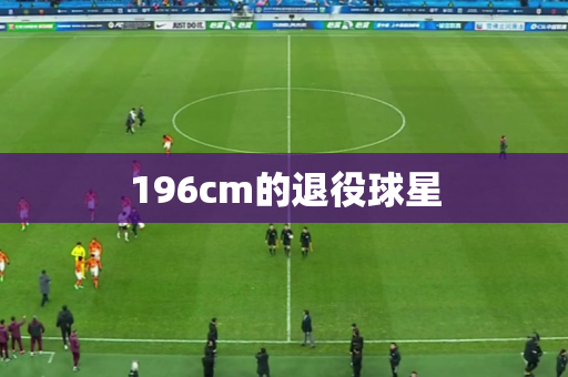 196cm的退役球星 196cm的退役球星