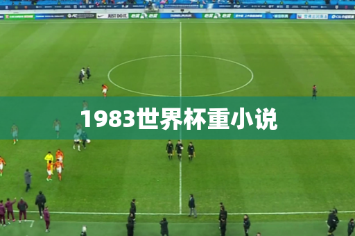 1983世界杯重小说 1983世界杯重小说