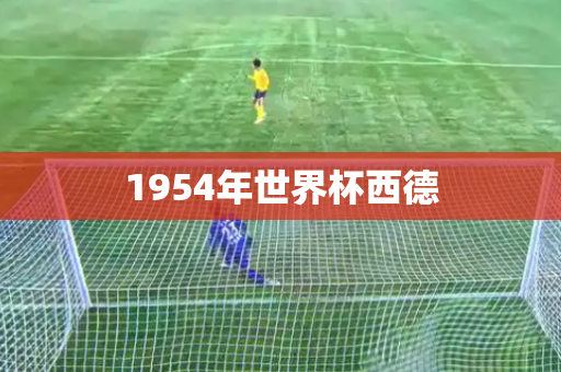 1954年世界杯西德 1954年世界杯西德