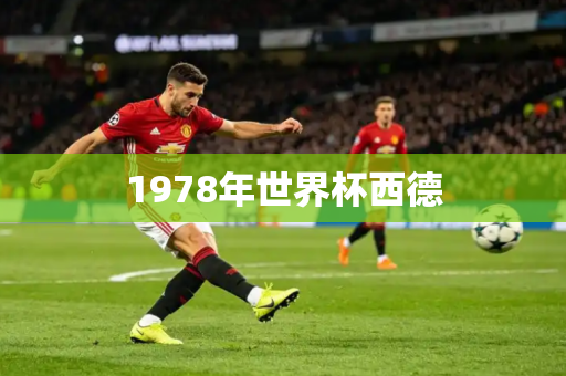 1978年世界杯西德 1978年世界杯西德