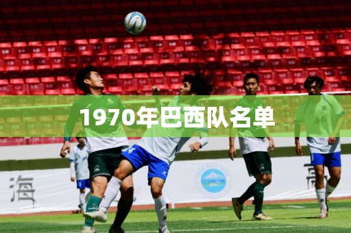 1970年巴西队名单