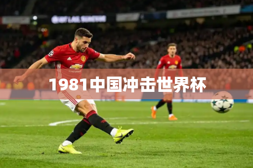 1981中国冲击世界杯 1981中国冲击世界杯