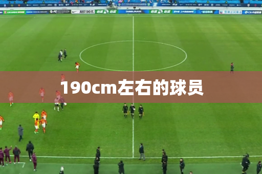 190cm左右的球员 190cm左右的球员