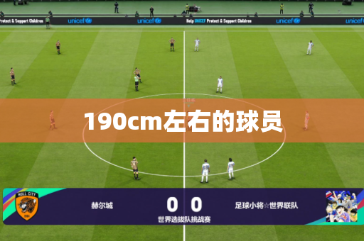 190cm左右的球员