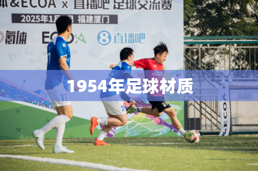 1954年足球材质 1954年足球材质