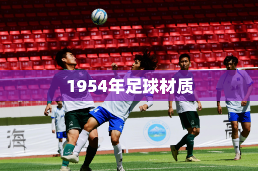 1954年足球材质