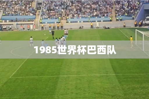 1985世界杯巴西队 1985世界杯巴西队