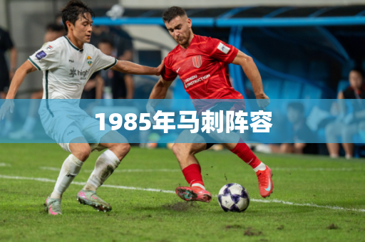 1985年马刺阵容