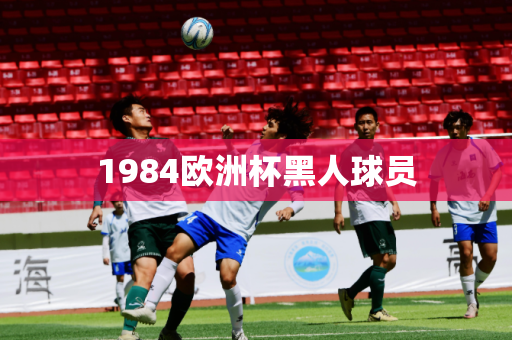 1984欧洲杯黑人球员 1984欧洲杯黑人球员