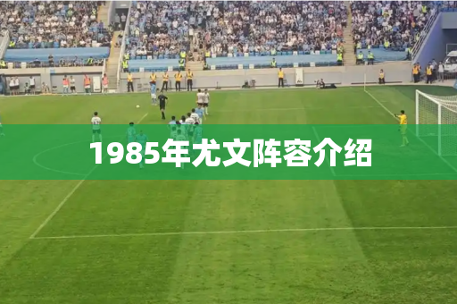 1985年尤文阵容介绍 1985年尤文阵容介绍
