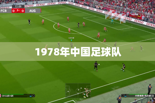 1978年中国足球队 1978年中国足球队