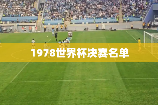 1978世界杯决赛名单