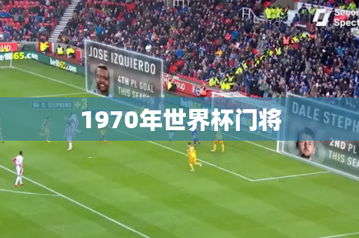 1970年世界杯门将