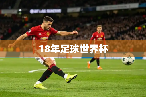 18年足球世界杯