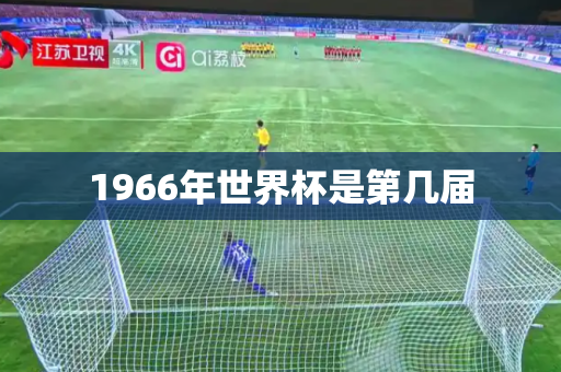 1966年世界杯是第几届 1966年世界杯是第几届